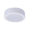 Đèn Ốp Trần PHILIPS - DN027G2 LED12 D175