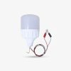 Bóng LED Bulb TR100N1/30W.DC 6500K (12-24VDC Kẹp) | Rạng Đông
