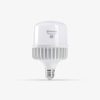 Bóng LED Bulb TR100NĐ2/30W E27 | Rạng Đông