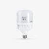 Đèn LED Bulb Trụ 30W TR100N1 | Rạng Đông