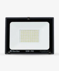 Đèn LED Chiếu Pha CP10 100W | Rạng Đông