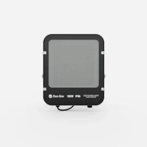 Đèn LED Chiếu Pha CP12 100W | Rạng Đông
