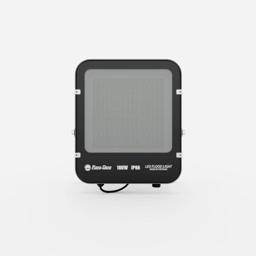 Đèn LED Chiếu Pha CP12 100W | Rạng Đông