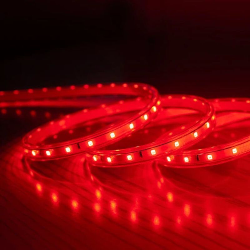 Đèn LED Dây Trang Trí 1000/7W Màu Đỏ LD01.R (Giá Bán Theo Mét) | Rạng Đông