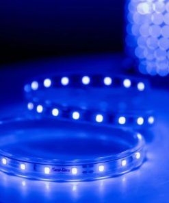 Đèn LED Dây Trang Trí 1000/7W Màu Xanh LD01.B (Giá Bán Theo Mét) | Rạng Đông