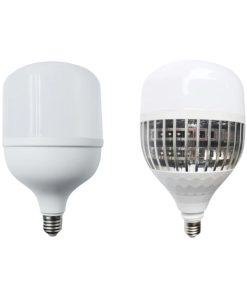 Đèn LED T Bulb | LDE HW T100 30W 100LMW 865